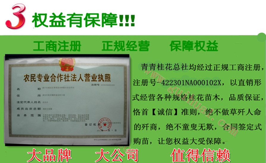购苗保障