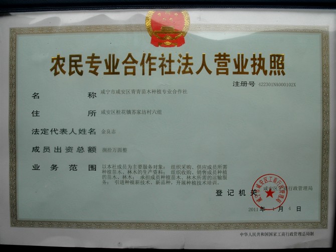 合作社